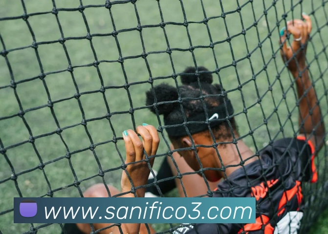 平台展示图